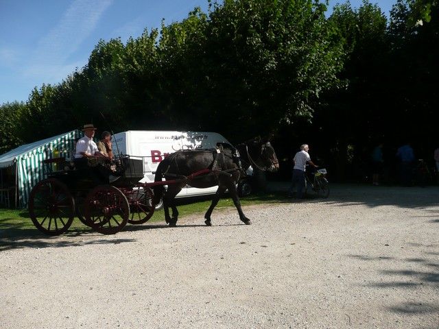 dimanche (31).jpg